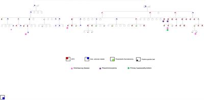 Clinical characteristics of a large familial cohort with Medullary thyroid cancer and germline Cys618Arg RET mutation in an Israeli multicenter study